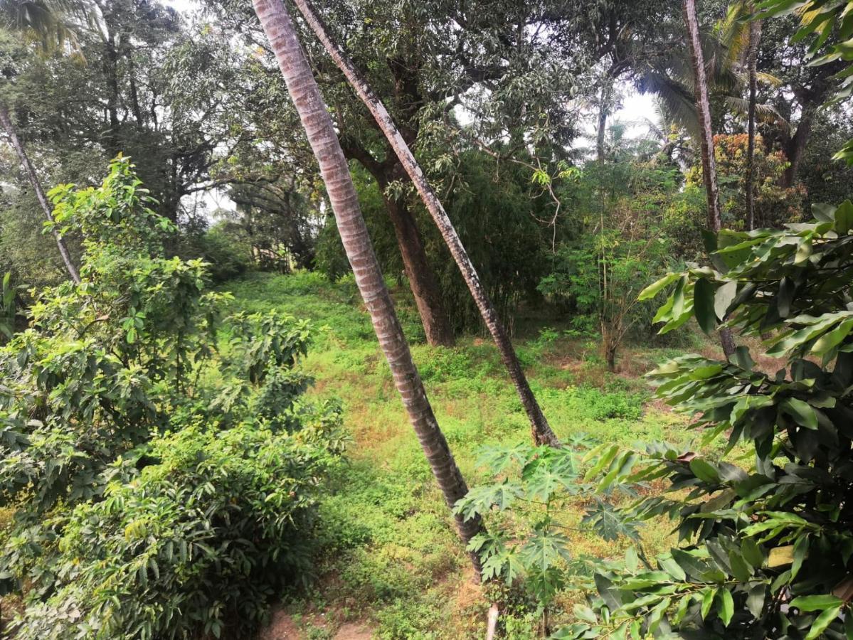 Celso'S Home Stay Panaji Eksteriør billede